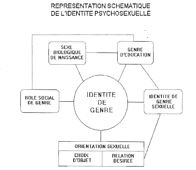 Représenation schématique de l'identité psychosexuelle